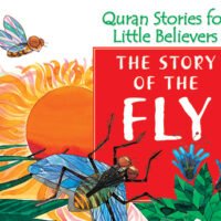 The Story of the Fly