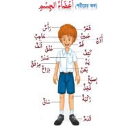 আরবির শুরু (১ম ভাগ) Aarbir Shuru (1st Part)