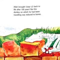 The Uzayr’s Donkey