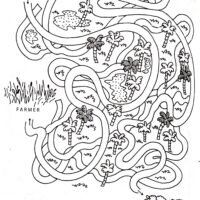 WHEN LIFE BEGAN AND OTHER STORIES(Fun to color and do Quran story Mazes)